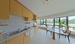 The Draycott (D10), Apartment #517384071